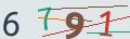 verifycode